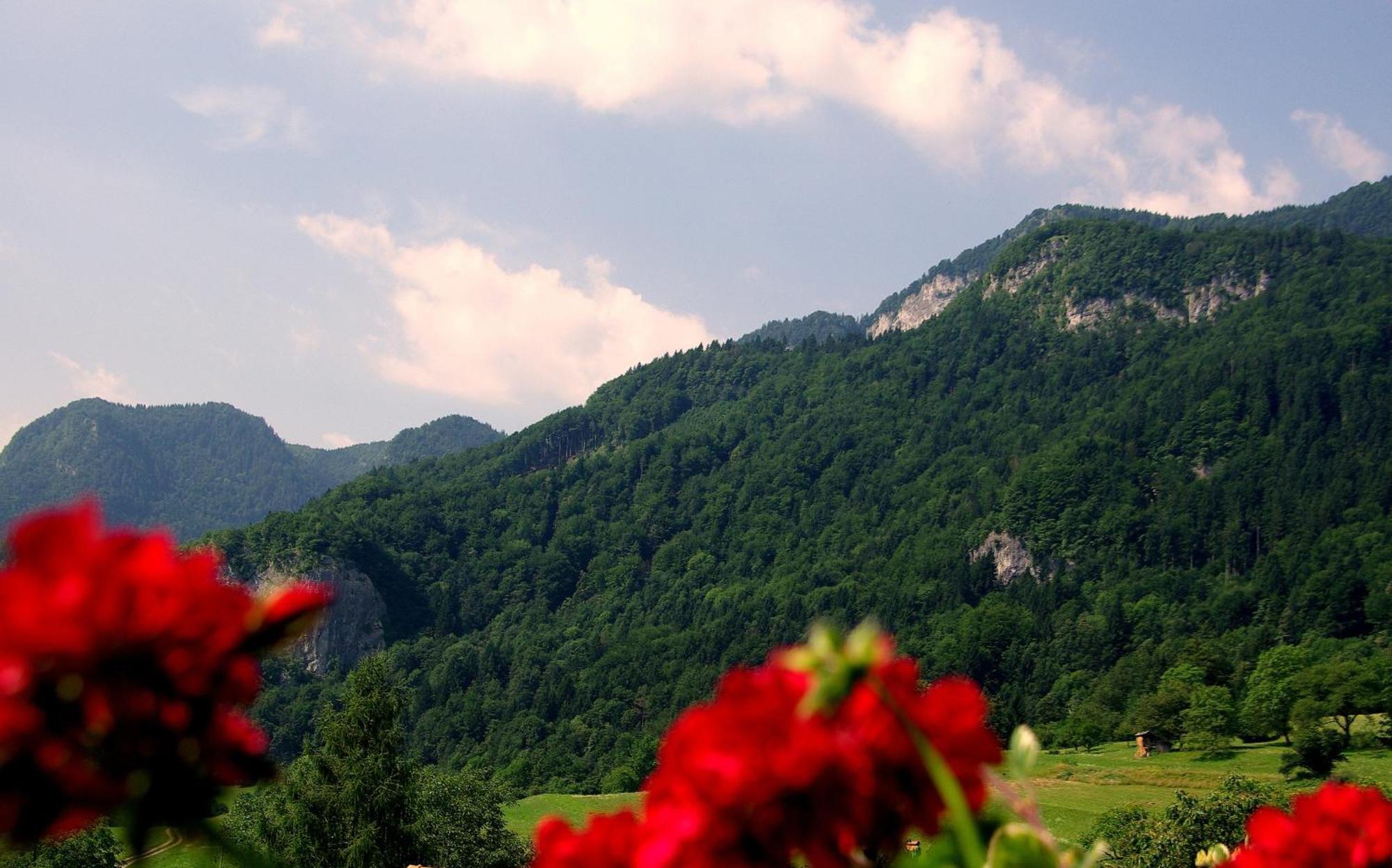 Pr Bevc Hotel Bled Exterior foto